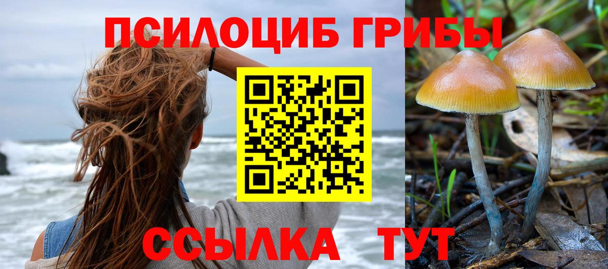 Сухой Лог  Галлюциногенные грибы Cubensis  Вход с VPN  Псилоцибиновые грибы MAGIC MUSHROOMS 